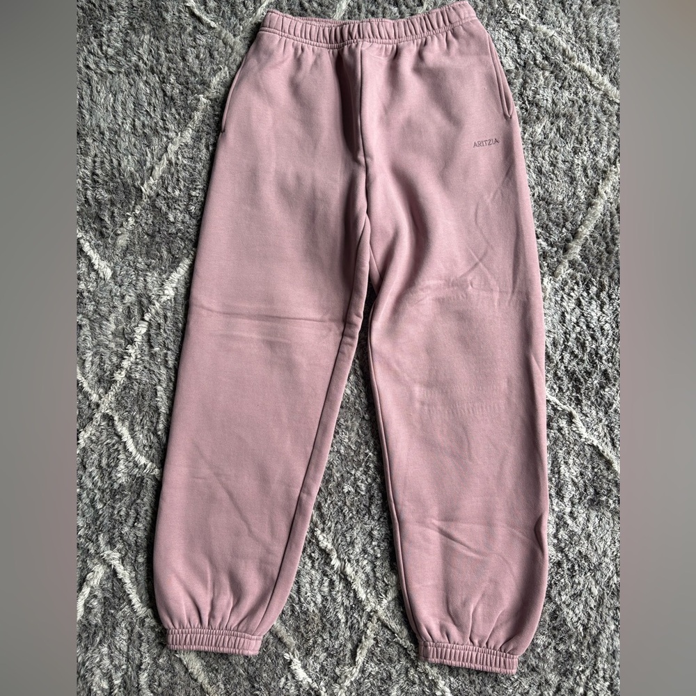 Aritzia sweatpants